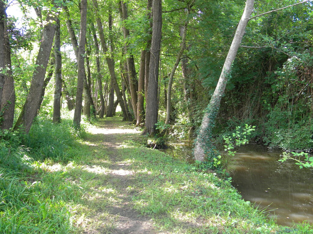 Balade à Montguyon